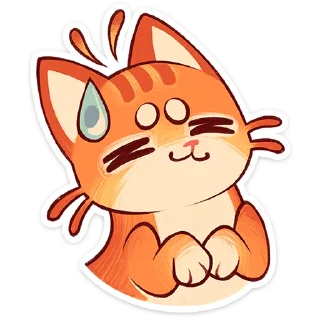 🐱