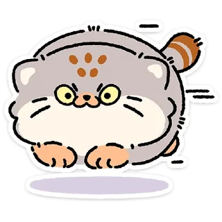 😼