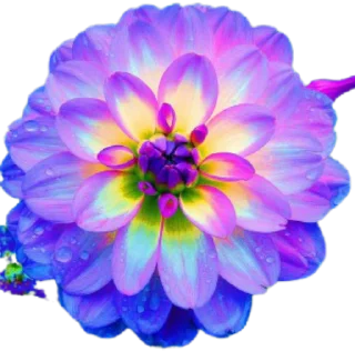 🌸