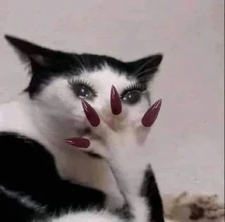 😭