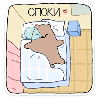 🐻