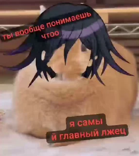 🌟