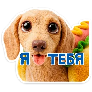 🐶