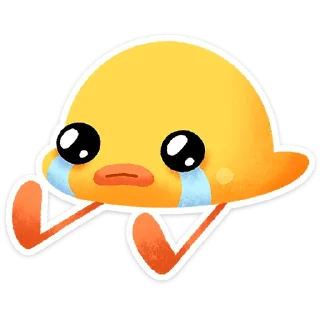 🌟