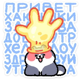 ✨