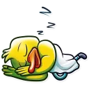 😴