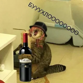 🍷