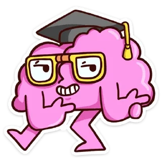 🎓