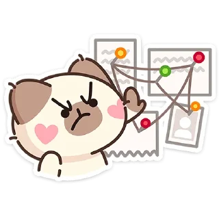 🐱