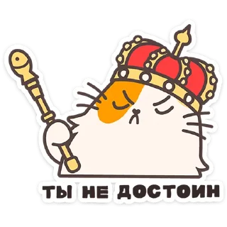 🐱