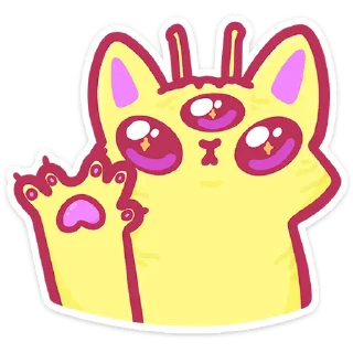 🐱