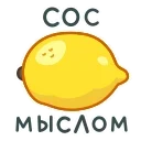 ⭐
