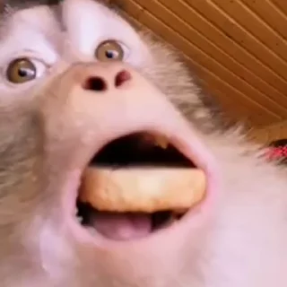 😲