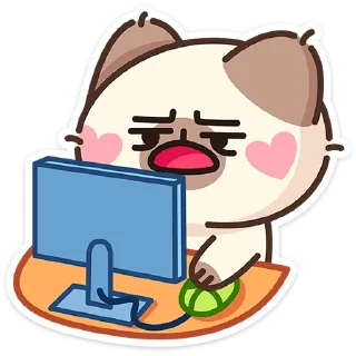 🐱