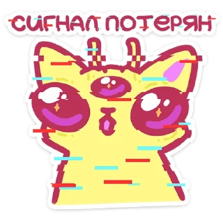 🐱