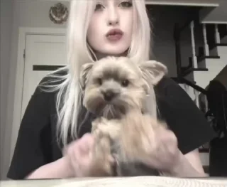 🌟