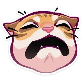 🐱