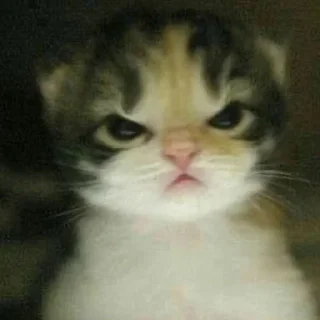 😡