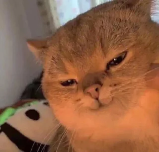 😈