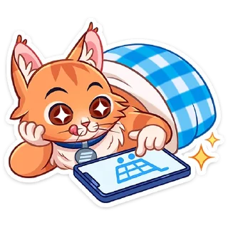 ⭐