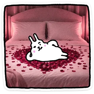 🐰