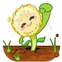 ⭐