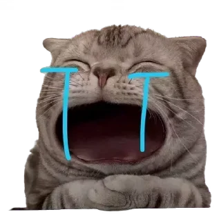 крутые коты — Telegram sticker pack