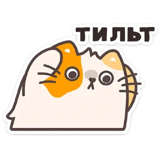 🐱