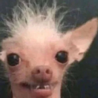 ☺️