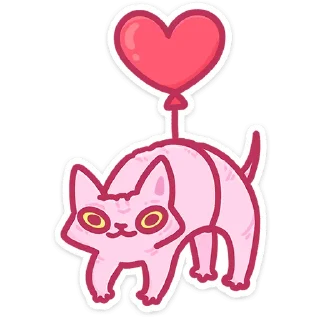 🐱