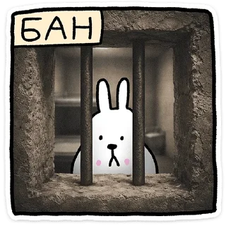 🐰