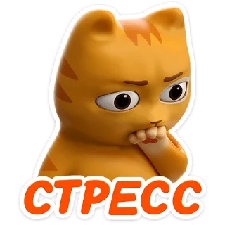 😼