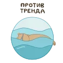 🏊‍♂️