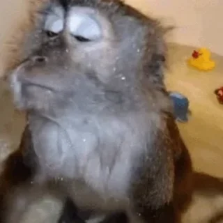 🛀