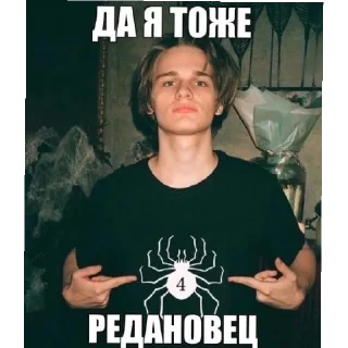 🕷️