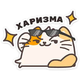 🐱