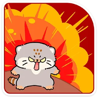 😼