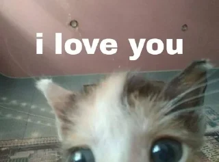 ❤️‍🔥