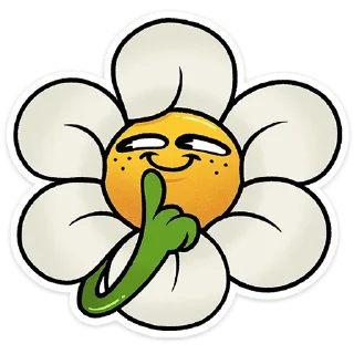 ⭐