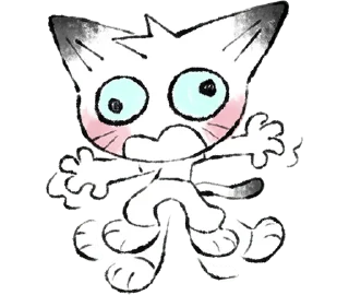 🐱