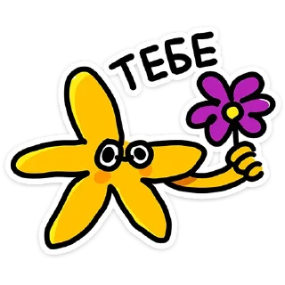 🌸