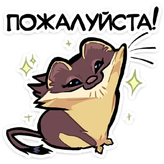 ⭐