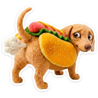 🐶