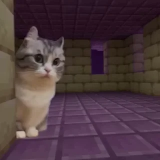 🤩