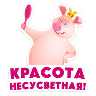 ⭐