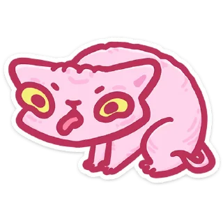 🐱
