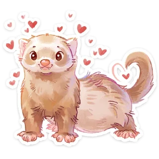 ⭐