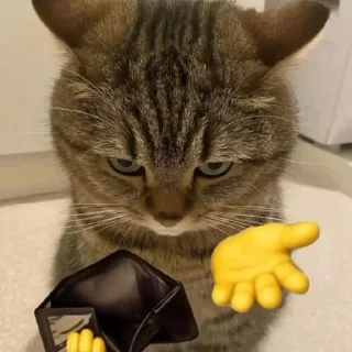 🐈
