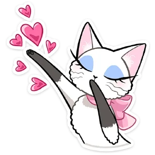 🐱