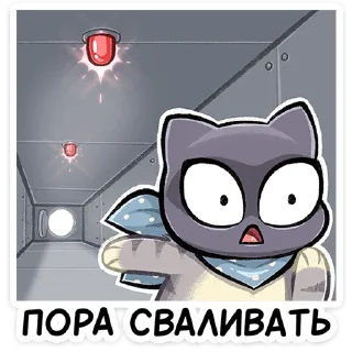⭐